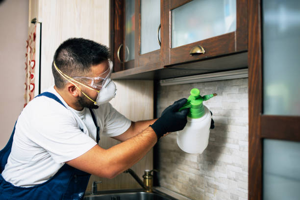 Best Pest Control for Restaurants  in Mishawaka, IN