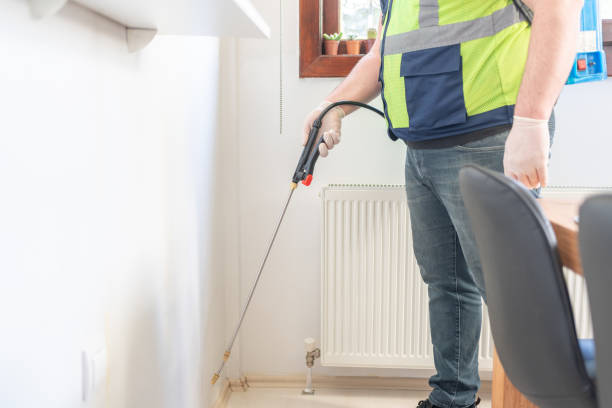 Best Wasp Removal Services  in Mishawaka, IN