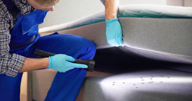 Best Bed Bug Extermination  in Mishawaka, IN