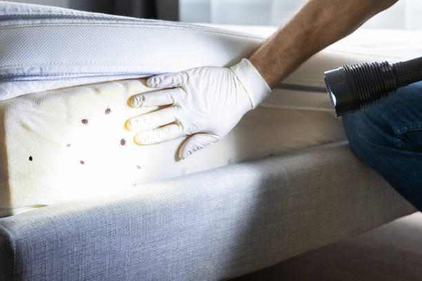 Best Bed Bug Extermination  in Mishawaka, IN
