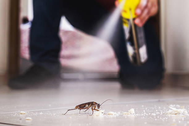 Best Pest Removal Services  in Mishawaka, IN