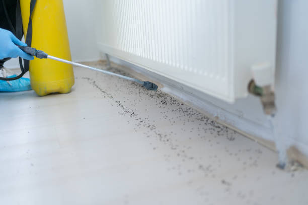 Professional Pest Control in Mishawaka, IN