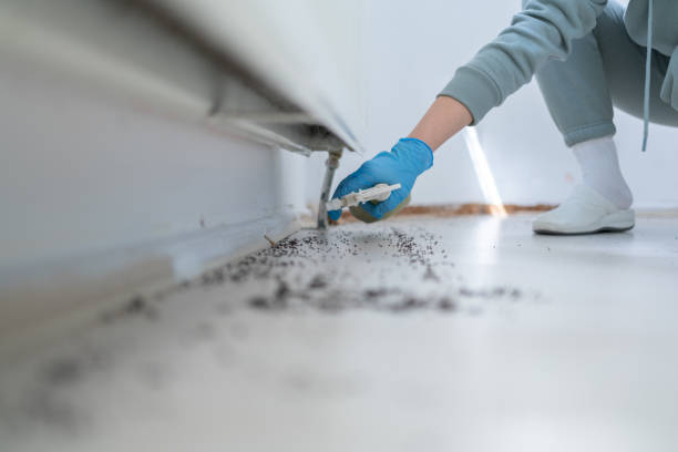 Best Pest Inspection Near Me  in Mishawaka, IN