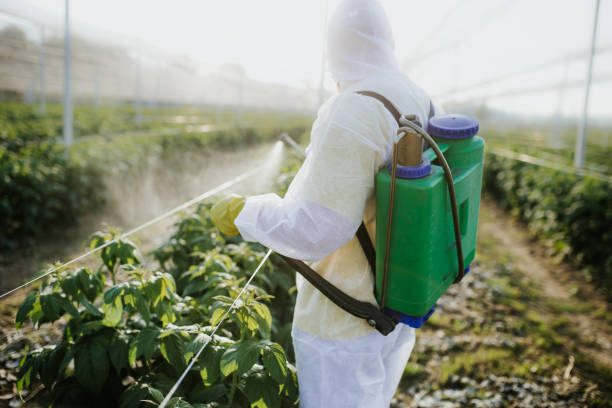 Best Best Pest Control Companies  in Mishawaka, IN